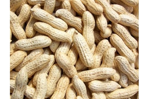 大量求購，增盛，三井子，新站，附近下料米