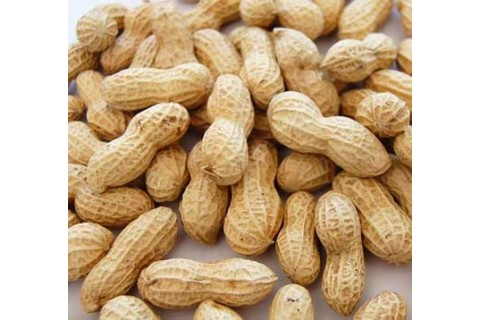 淄博辰龍食品誠招花生油代理