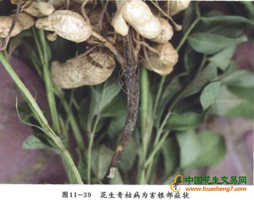 圖片6