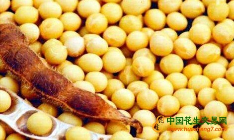 QQ截圖20170512083759