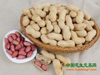 圖片1