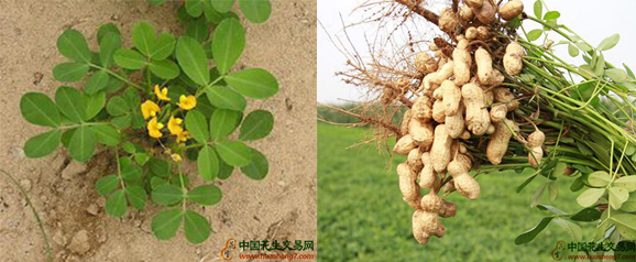 未標(biāo)題-1