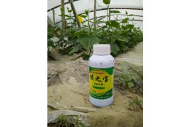 碳之寶-微生物葉面營養劑