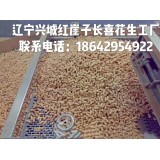 出售遼寧本地小日本花生果