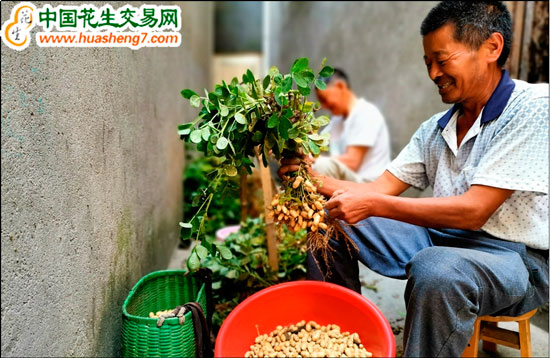 圖片11