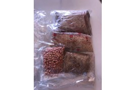 花生米出售，9元一公斤，有意者請電15549151933