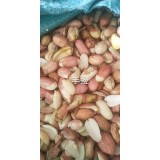 當(dāng)?shù)厥謸?.55－4.6大量出售200噸！