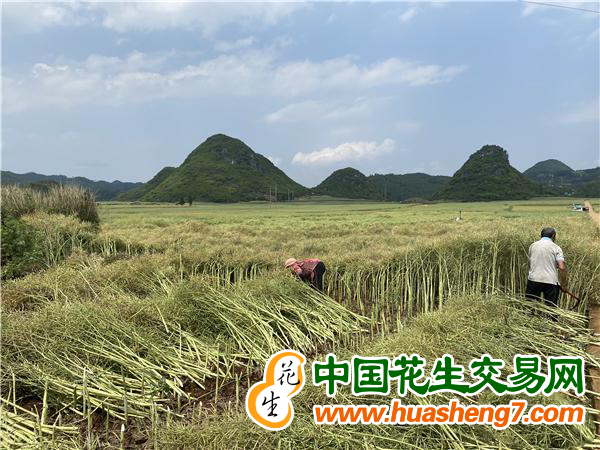 圖片 18