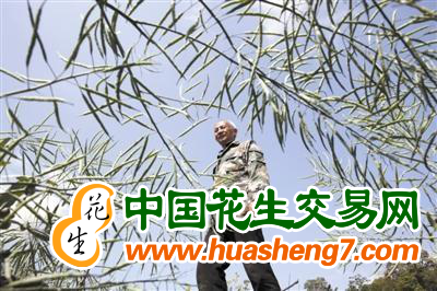 圖片 8