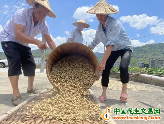圖片 6