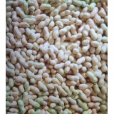 花生果農新果上市