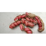 代購洮南花生