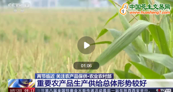 圖片1