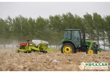吉林省：玉米播種超3700萬(wàn)畝 ()