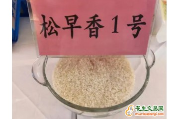 上海閔行：“金獎大米”預(yù)訂火熱 ()