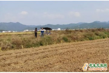 湖南：已完成油菜播栽2000萬(wàn)畝 ()
