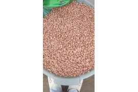西非油料米1.5W噸 求油廠合作，微信13675003038
