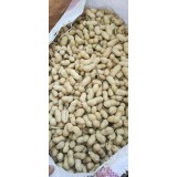 大量供應排雜白沙果，羅漢果