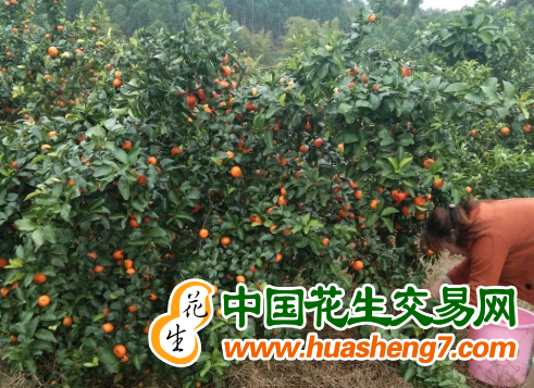 圖片1