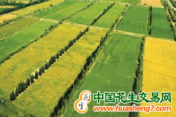 新疆：2023年將新建410萬(wàn)畝高標(biāo)準(zhǔn)農(nóng)田 ()