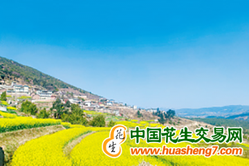 云南昆明：保小春豐收備大春生產(chǎn) ()