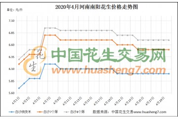 花生價格震蕩運行 購銷雙方較為謹慎 ()