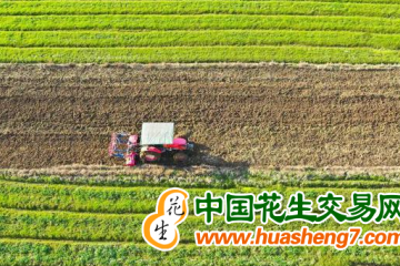 湖南:打造優(yōu)質(zhì)糧油工程升級(jí)版 ()