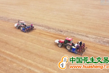 新疆：?jiǎn)?dòng)“科技支農(nóng)促春耕”集中示范活動(dòng) ()