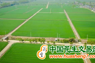 湖南道縣：85%的耕地建成高標(biāo)準(zhǔn)農(nóng)田 ()