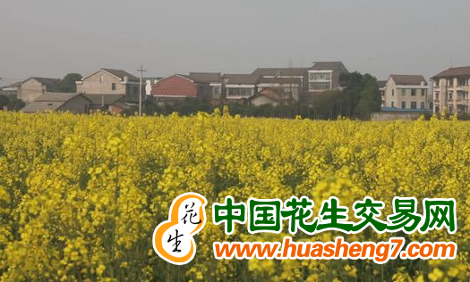 圖片2