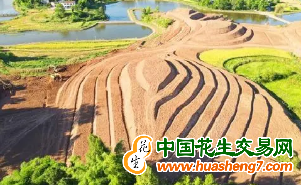 圖片1