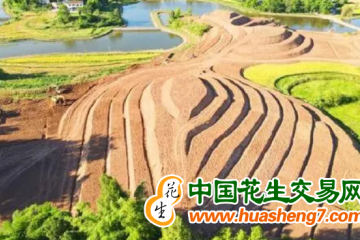 重慶豐都：今年計劃完成8萬畝高標準農田改造提升 ()