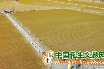 北京順義區：春播春種春管全面展開 ()