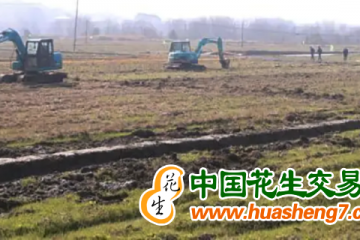湖南長沙縣：建設2萬畝高標準農田 ()
