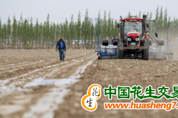新疆：春播進度快于2022年同期 ()