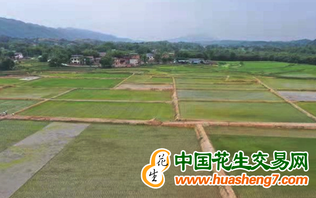 圖片1