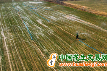 山西：全面推進鄉村振興 ()