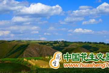 青海：新建成高標準農(nóng)田9.93萬公頃 ()