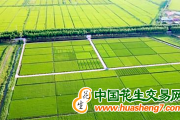 遼寧：實(shí)有耕地面積接近8000萬畝 ()