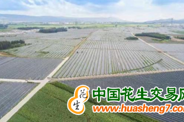 云南曲靖：科技創(chuàng)新穩(wěn)糧強(qiáng)農(nóng) ()