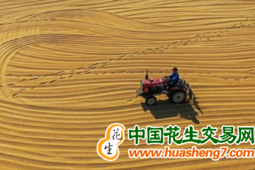 湖北：夏糧總產(chǎn)97.73億斤 ()