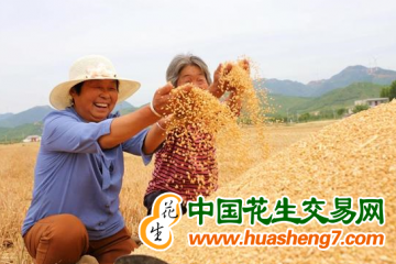 天津市：夏糧總產量達74.5萬噸 ()