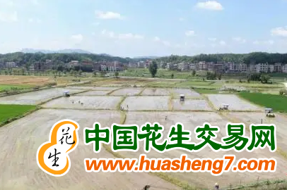 圖片1