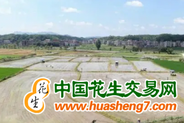 湖南邵東：搶抓農時保豐收 ()