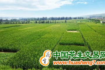 陜西：耕地數(shù)量兩年來增加88.03萬畝 ()