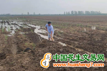黑龍江牡丹江：排澇補種保豐收 ()
