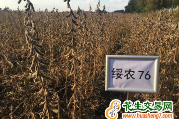 黑龍江省農(nóng)科院稻種豆種列全國推廣面積榜首 ()