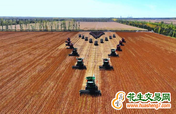 黑龍江嫩江：548.1萬(wàn)畝大豆喜獲豐收 ()