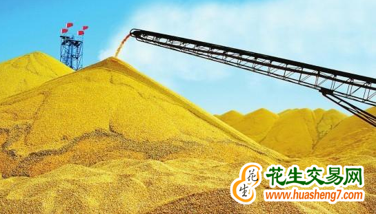 吉林省遼源市：糧食大豐收 顆粒歸倉(cāng)忙 ()