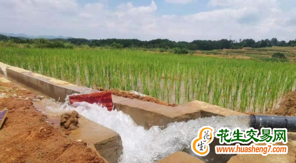 安徽利辛：耕地提質(zhì) 農(nóng)業(yè)增效 ()